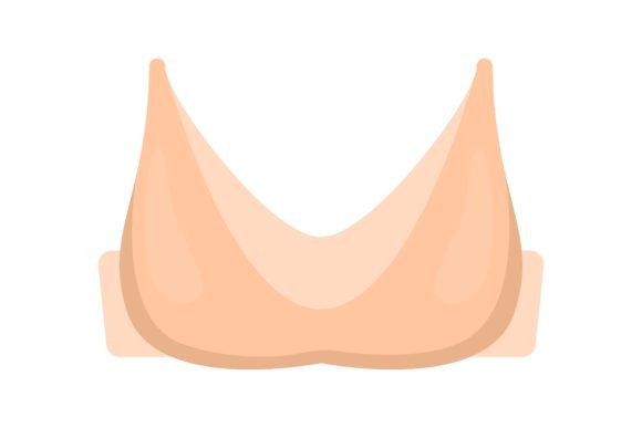 Download Women Bra. Sports Top, Strapless and Pus - Pus Collection