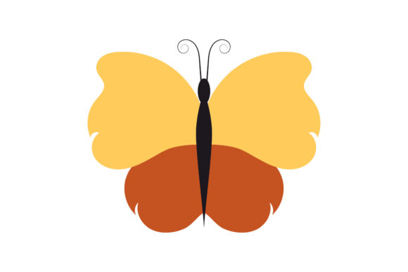 Download Butterfly Tropical Pretty Design - Pretty Collection